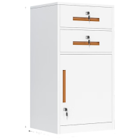戴劲铁皮文件柜矮柜资料柜带锁抽屉柜桌下收纳小柜子 85高二抽白色