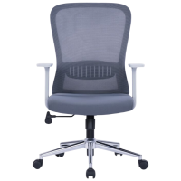 戴劲护腰电脑椅舒适办公椅会议椅家用弓形椅班前椅职员椅人工力学椅A6