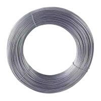 满盛达建 镀锌铁丝 镀锌铁线 16#(1.6mm) 千克