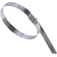 桃锦堂不锈钢扎带