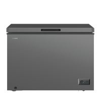 星星(XINGX)BD/BC-303QE家用小型冰柜 卧式冷柜预涂内胆单温厨房商用保鲜设备303升自动减霜1级能效