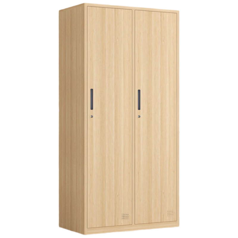 戴劲钢制仿木纹转印更衣柜员工宿舍铁皮衣柜鞋柜办公室储物柜二门A款