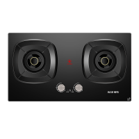 樱雪INSE燃气灶天然气双灶具 家用5.2kW定时聚能猛火灶灶台嵌两用 70%高热效可调节底盘Q8D