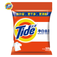 汰渍净白去渍无磷型洗衣粉508g 单位/包