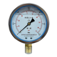 祥屹 耐震真空压力表 YTN100 块