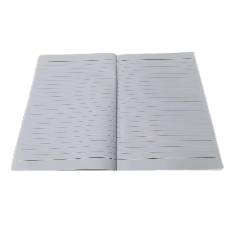 龙环珑 HLLK-2620软抄本无线装订 120页以上 1本 B5