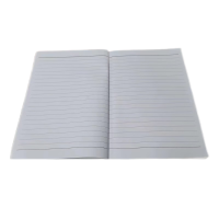 龙环珑 HLLK-2620软抄本无线装订 120页以上 1本 B5