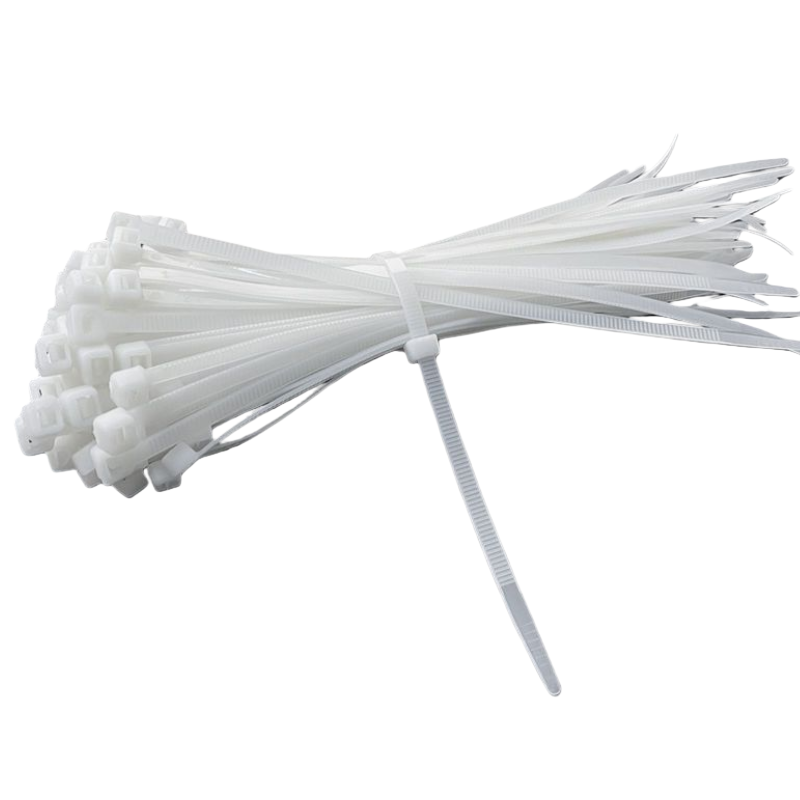 长铁 尼龙扎带 4.8mm*100mm 包