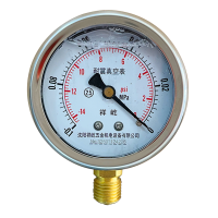祥屹 耐震真空压力表 YTN60 块