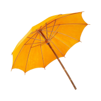 极星健 雨伞 竹木10骨 把