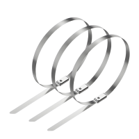 沃达兴 不锈钢扎带 10*500mm 根