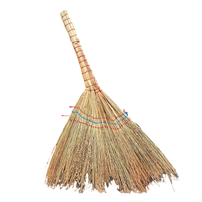 金桂昊 扫把 白净苗50cm 把