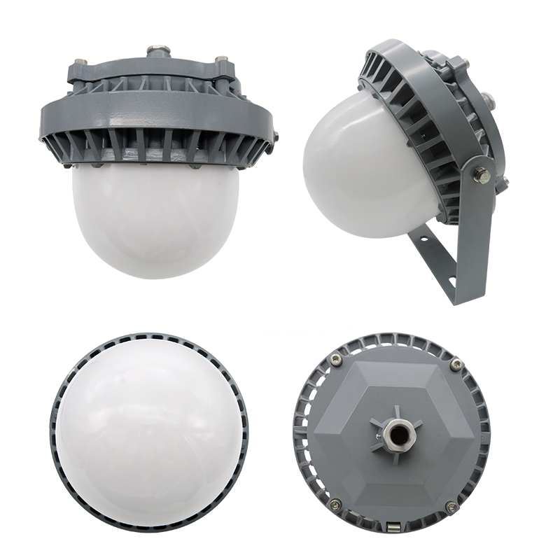 RECEN RGPL229-100W 固定式LED灯具 个