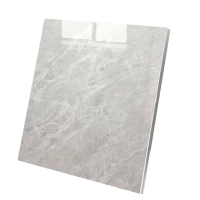 通泰福 地砖 800*800mm 块