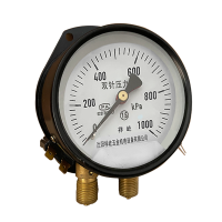 祥屹 双针压力表 带灯24V YZS102 块