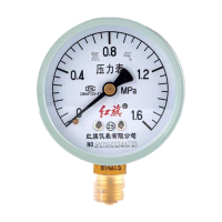 红旗 压力表检测款 YN2-60(压力值需备注) 块