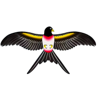 儿童专用手持鱼竿风筝微风易飞动态燕子风筝男孩女孩户外运动3750