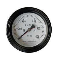 祥屹 双针双管压力表24v轴向 YYS100Z 台