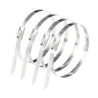 铭达鲁满 不锈钢扎带 10*100mm/100根 包