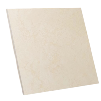 泽奋 瓷砖 800*800mm 片