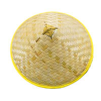 泽奋 斗笠 53cm 个