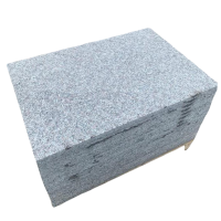 满盛达建 火烧板 600*600*20mm 块