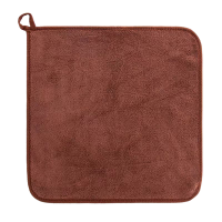 沁春莱加厚珊瑚绒抹布(咖啡色)30*30cm/条