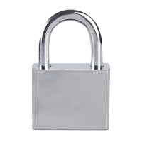 瑞琅玟珑 挂锁 60长梁 把