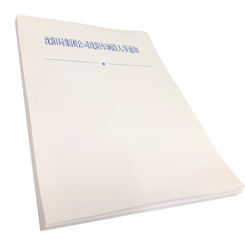 铁凇 沈阳局集团公司沈阳车辆段人事通知 A4 张