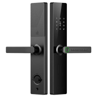 TIECHI/铁驰 防盗智能锁 DZ-F 1把