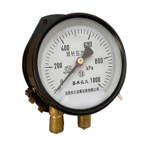 嘉禾长久 双针压力表 YZS-102 1.0级 带灯24v 台