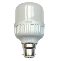 利成照明 LED灯泡 B22 10W 个