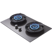 迎燕inyan一级双炉头大火力燃气灶液化气灶热电偶熄火保护高效节能燃烧