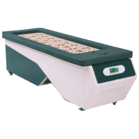 锦北全自动无烟艾灸床三元催化艾灸床汗蒸养生中药全身灸 电动款式二