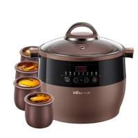 小熊(Bear)电炖锅 家用全自动煮粥锅燕窝炖盅煲汤锅 4.5L营养隔水炖电炖盅 紫砂内胆一锅五胆 DDZ-B45Z1