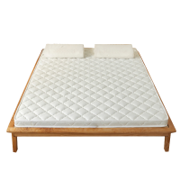 云意生 床垫 可折叠椰棕120*200*5cm 张