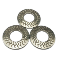 蔚期 SKM滚花碟形垫圈法式锁紧垫片 M10 个