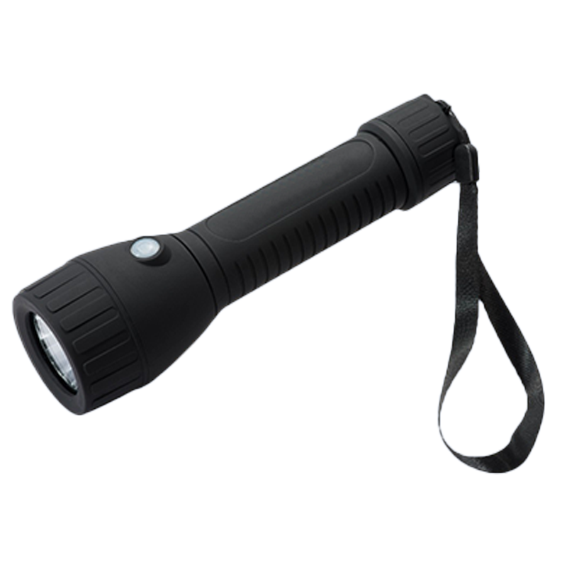 立华王LH3100C手电