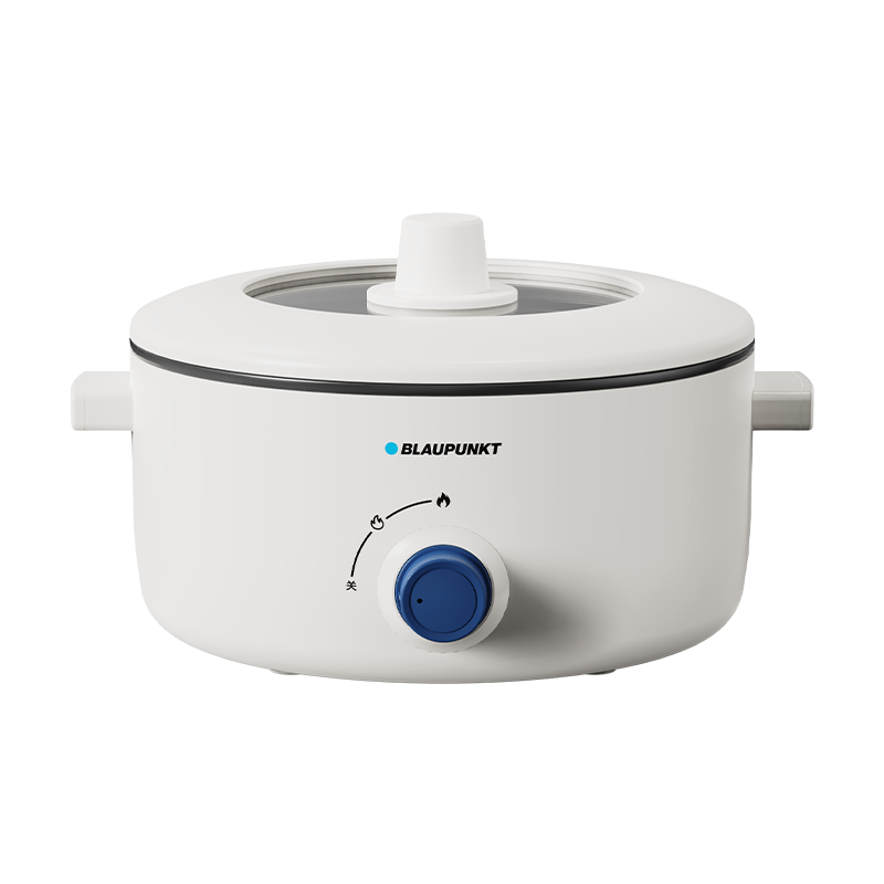 蓝宝(BLAUPUNKT)电煮锅 电火锅家用大容量2-4人使用多功能锅 BP-DZG20