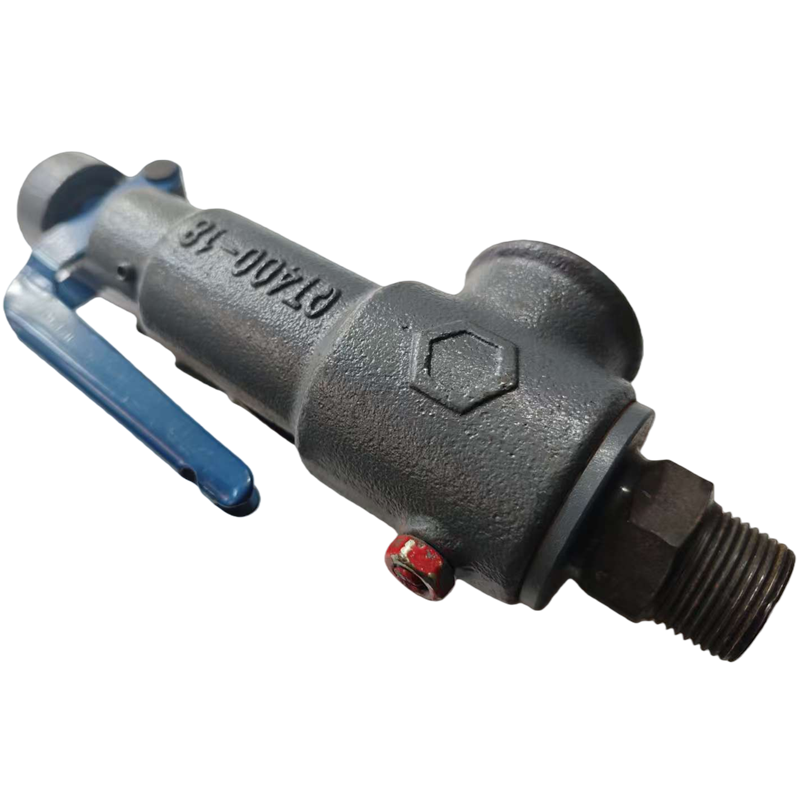 DERKAHE A28H-16弹簧式压力阀 DN50 个