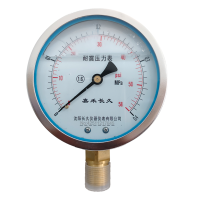 嘉禾长久 耐震压力表检测型 YTN100 0-0.4Mpa 块