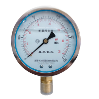 嘉禾长久 耐震压力表检测型 YTN100 0-0.25Mpa 块