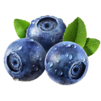 顺丰快递 [熊猫鸟]云南花香蓝莓 4盒 单果18mm+ 125g/盒 新鲜水果当季蓝梅鲜果现摘高山怡颗孕妇