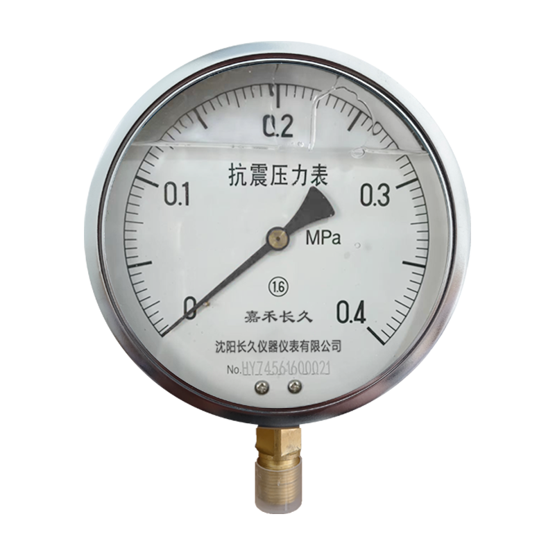 嘉禾长久 耐震压力表检测型 YTN150 块