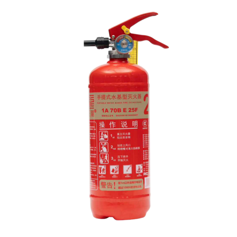 王龙 手提式水基型灭火器 2升 具