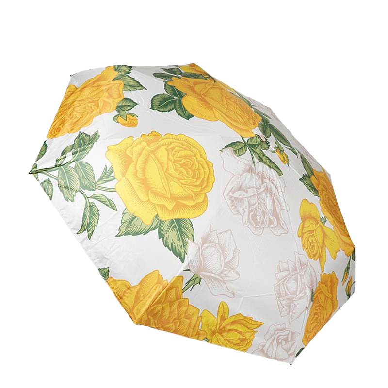 金桂昊 太阳伞 8骨-双层五折伞 把