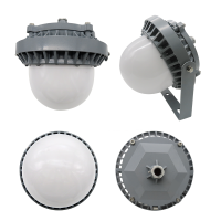 RECEN RGPL229-70W 固定式LED灯具 个