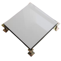 泽奋陶瓷防静电地板600*600mm块