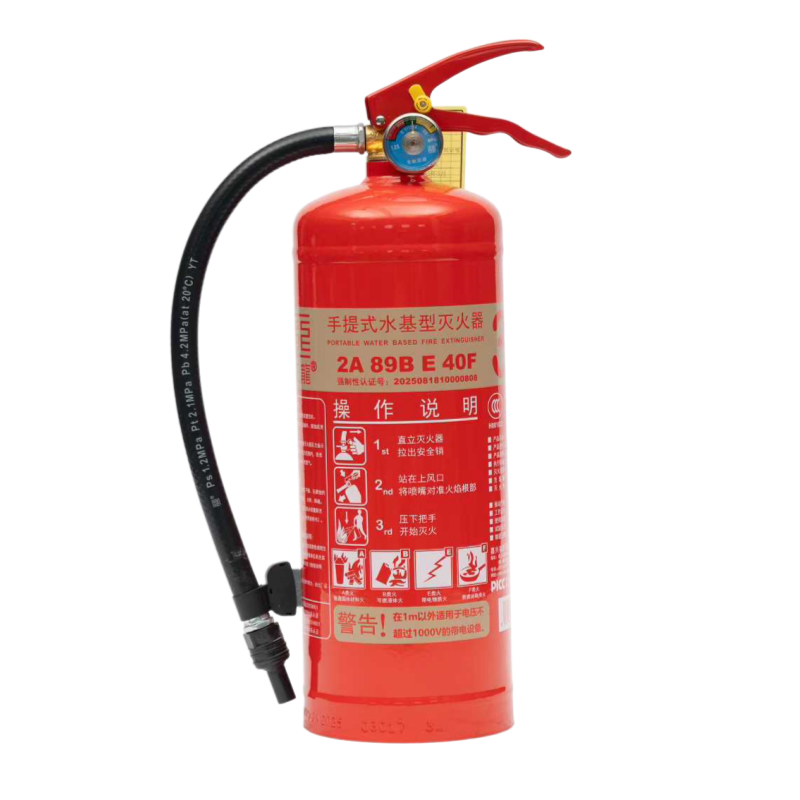 王龙 手提式水基型灭火器 3升 具