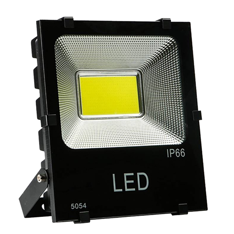 亮思能 LED投光灯 泛光灯 LSN-TD 100W 个